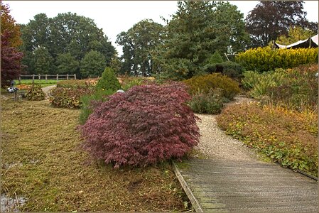 Garden autumn