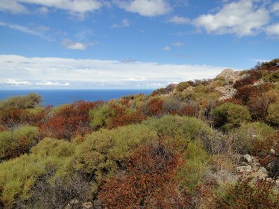 Corsica macchia horizon
