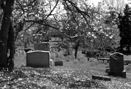 Gravestone tombstone dead photo