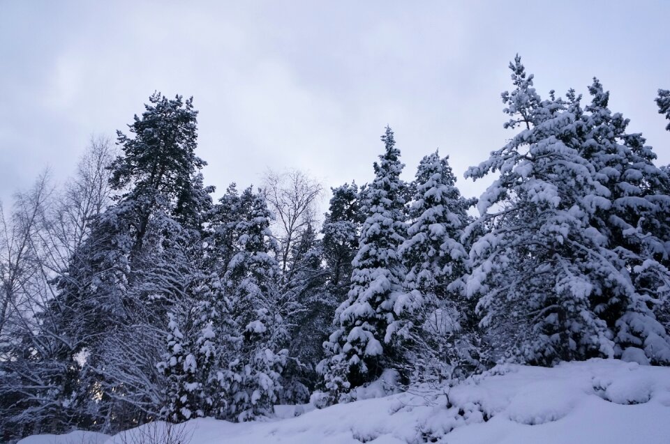 Landscapes threaded sweden