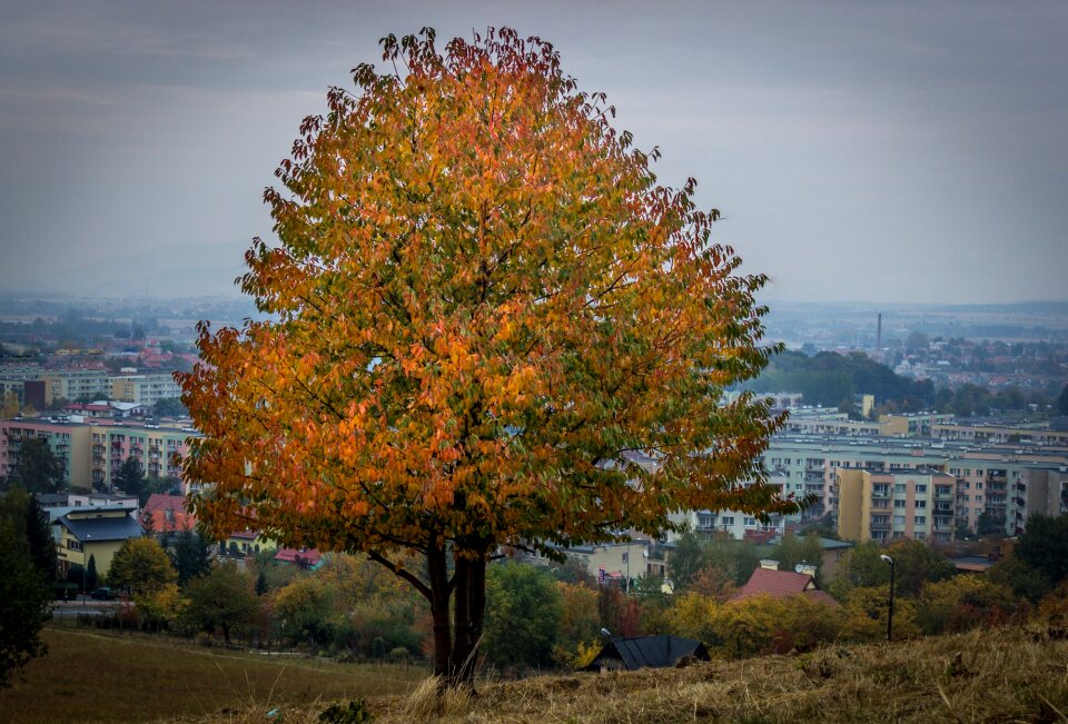 Colorful september yellow