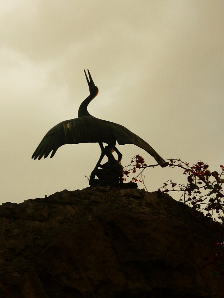 Bird statue nature