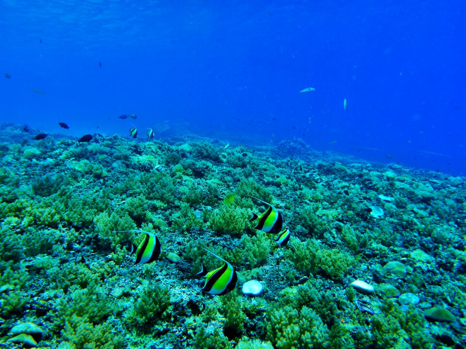 Sea water underwater