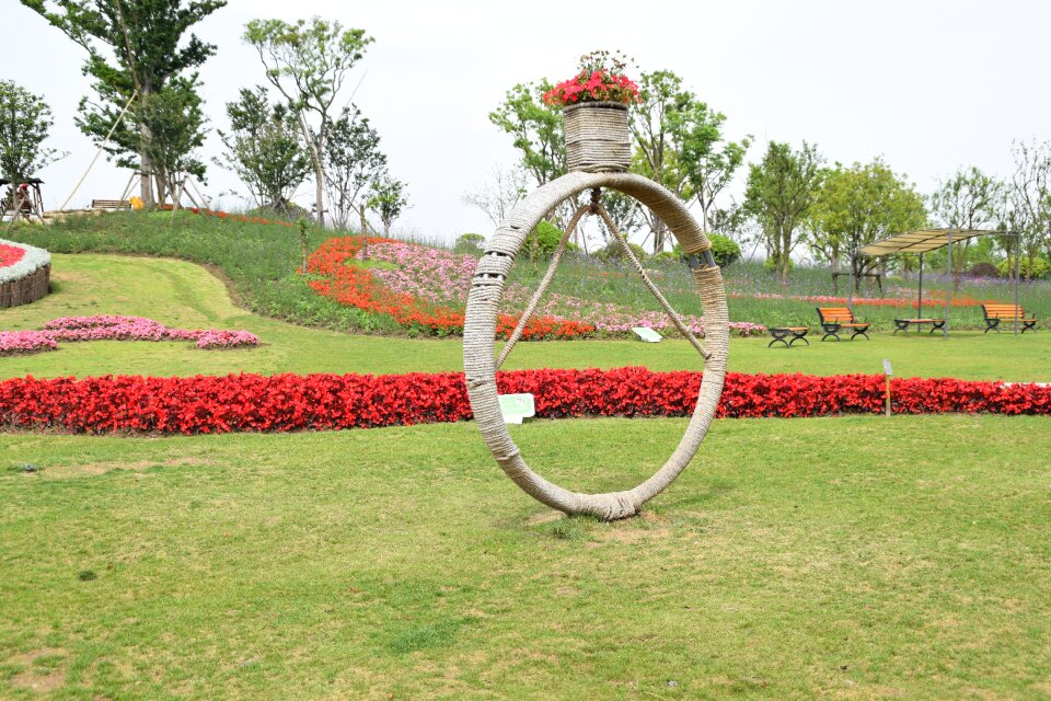 Diamond ring landscape gardening creative