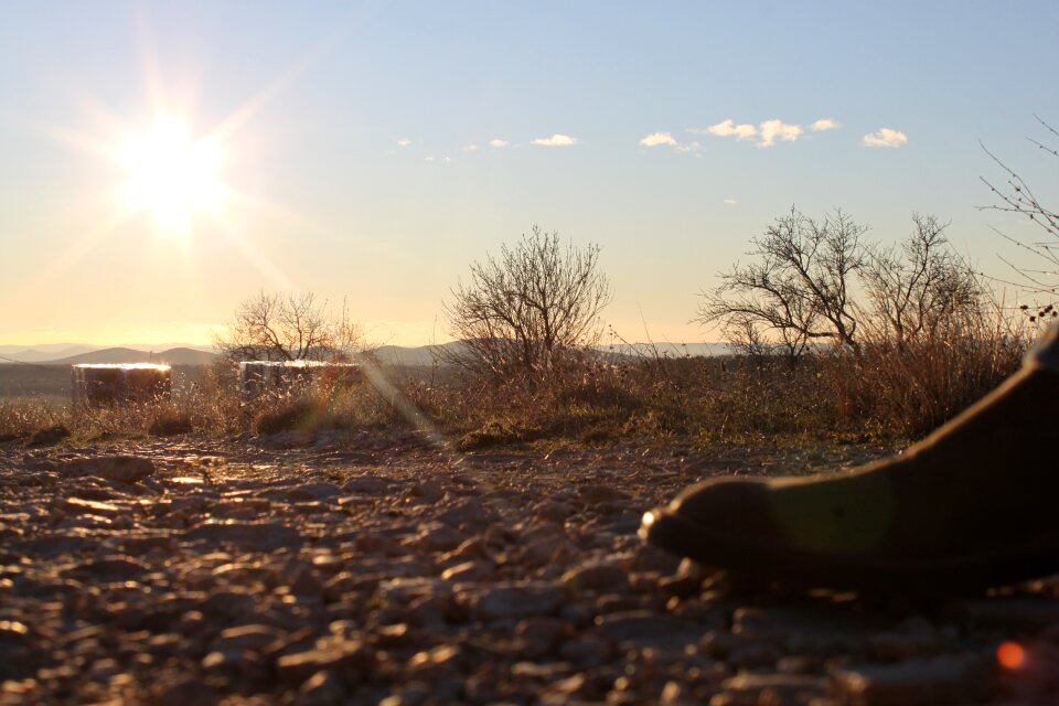 Frozen december desert