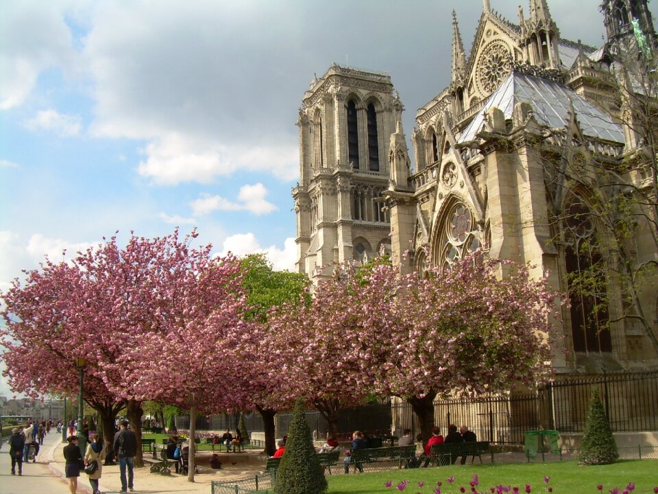 Notre dame cathedral