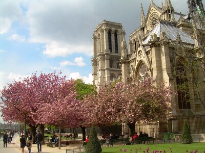 Notre dame cathedral photo