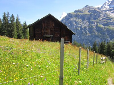 Alpine hiking mountain