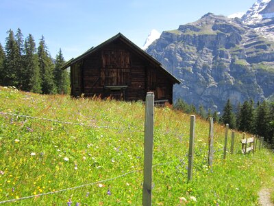 Alpine hiking mountain photo