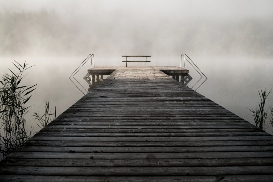 Nature lake fog