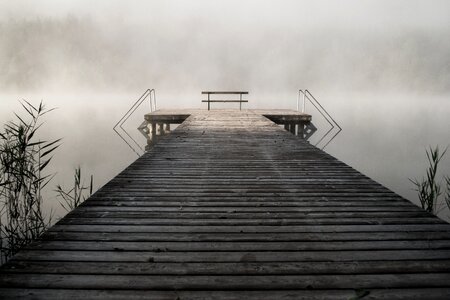 Nature lake fog photo
