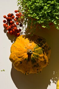 Nature colorful seasonal