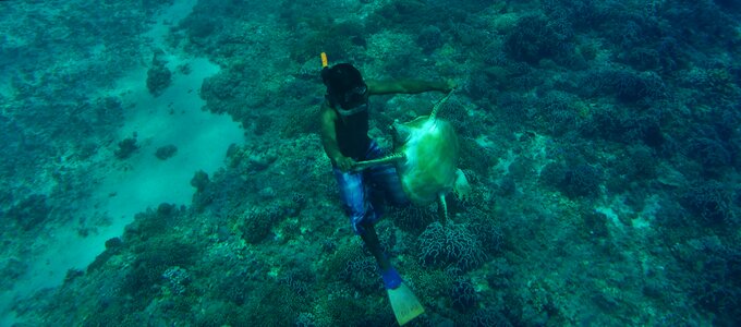 Sea water underwater photo