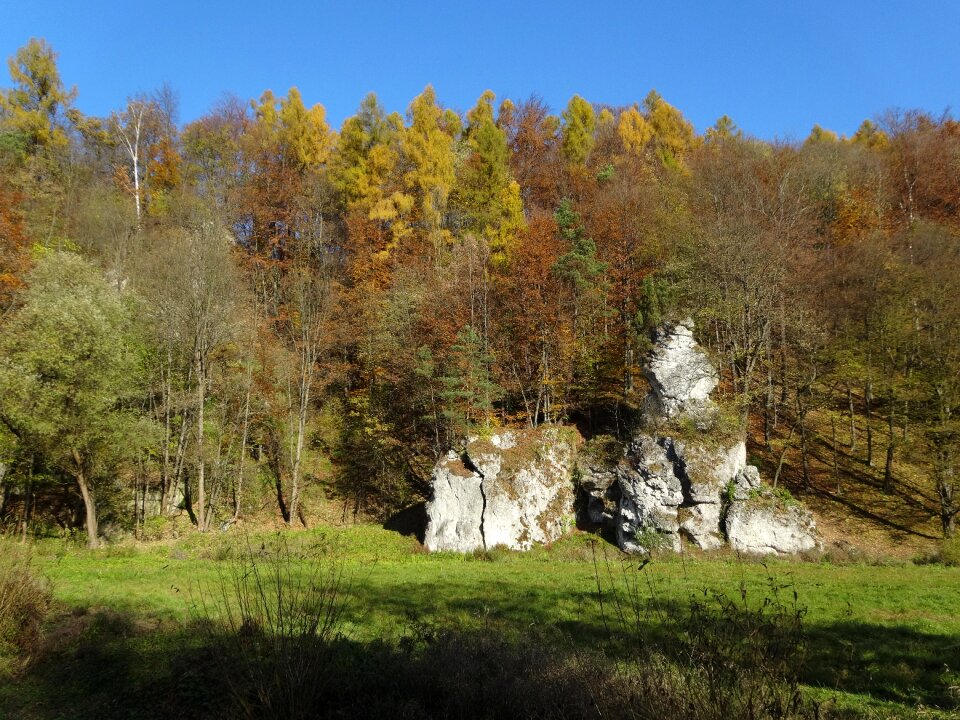 Landscape rock nature