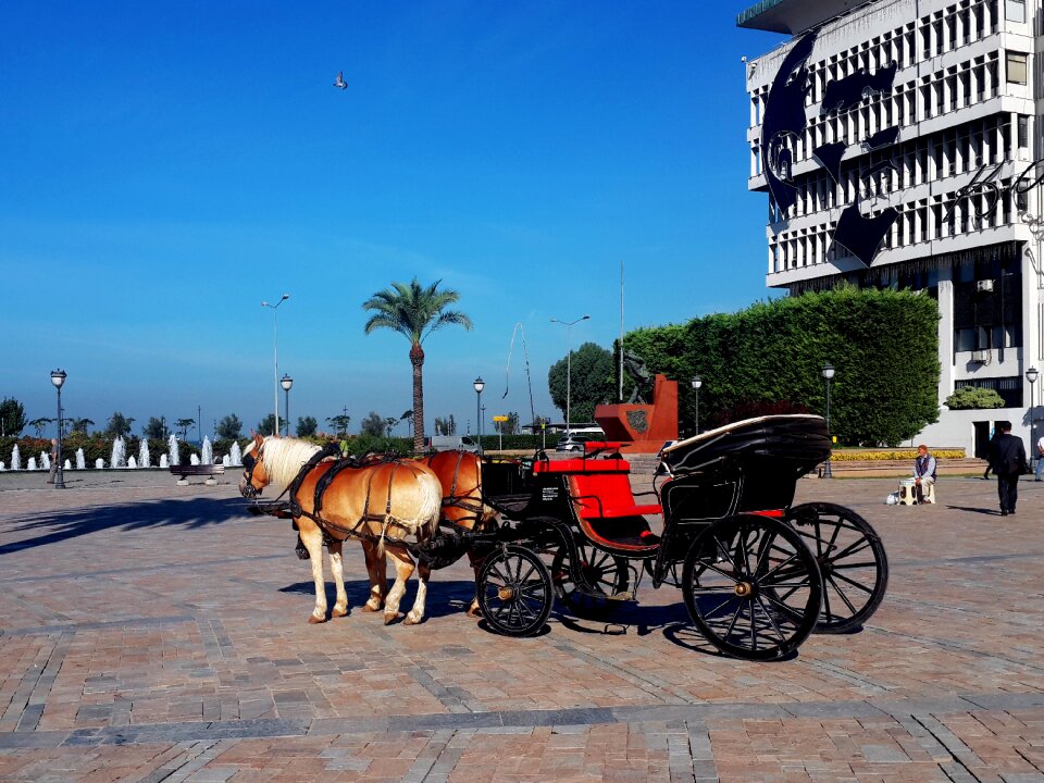 Ege square horse-drawn carriage