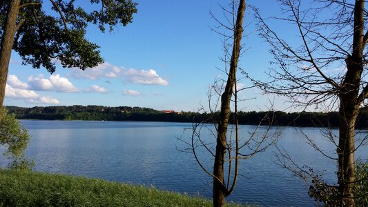 Masuria ostreußen poland photo