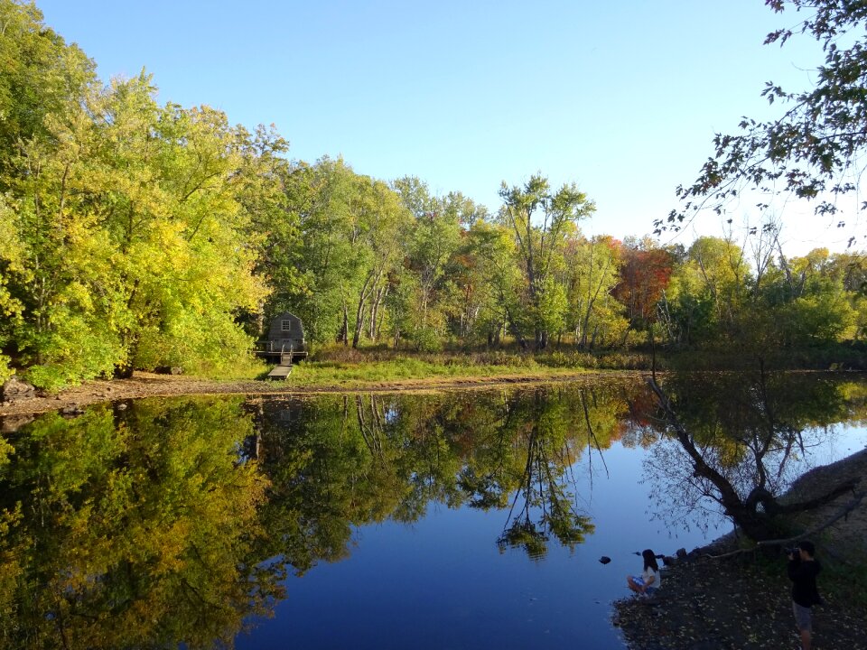 River woods forest