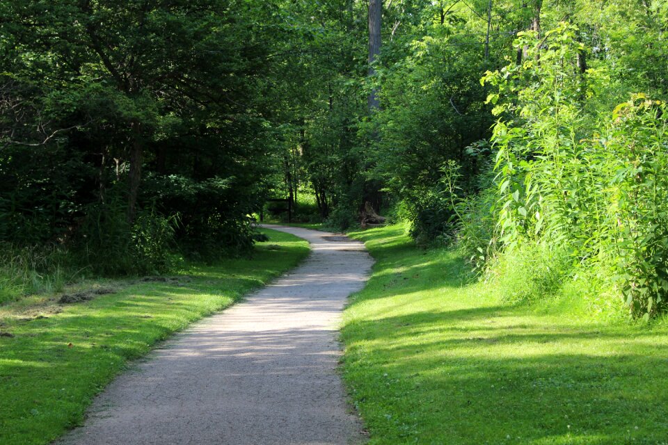 Path walking trees