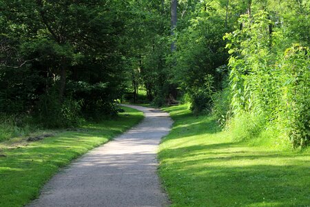 Path walking trees