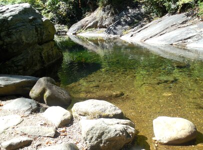 Nature water forest photo