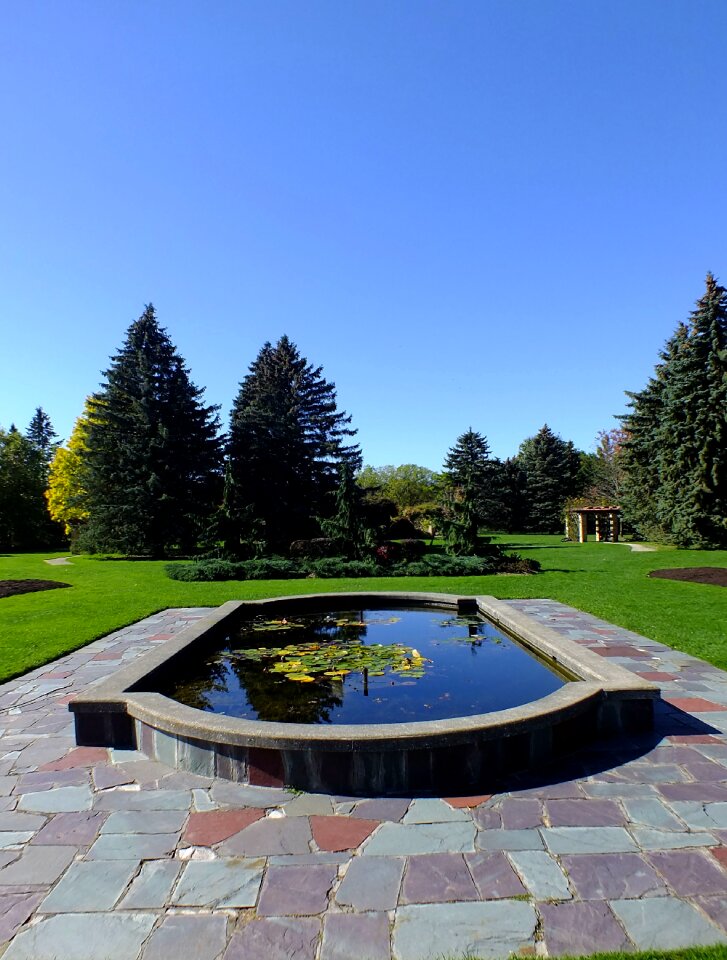 Reflecting pool outdoor
