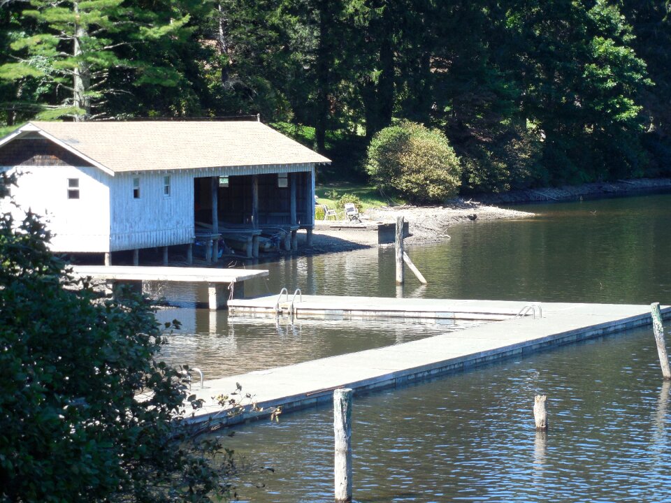 Forest outdoor lake