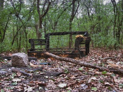 Burnt outdoors nature