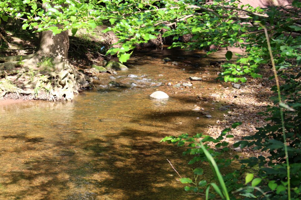 Green landscape rock
