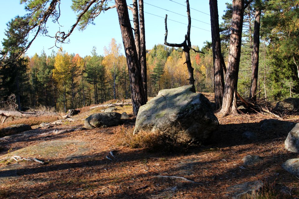 Landscapes swedish autumn