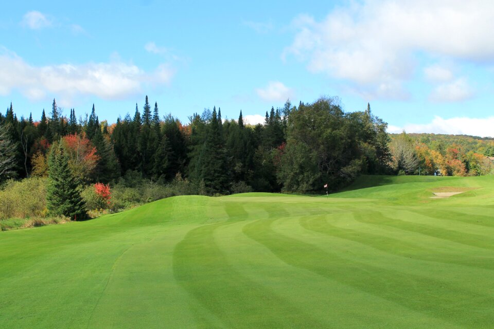 Fairway green golf