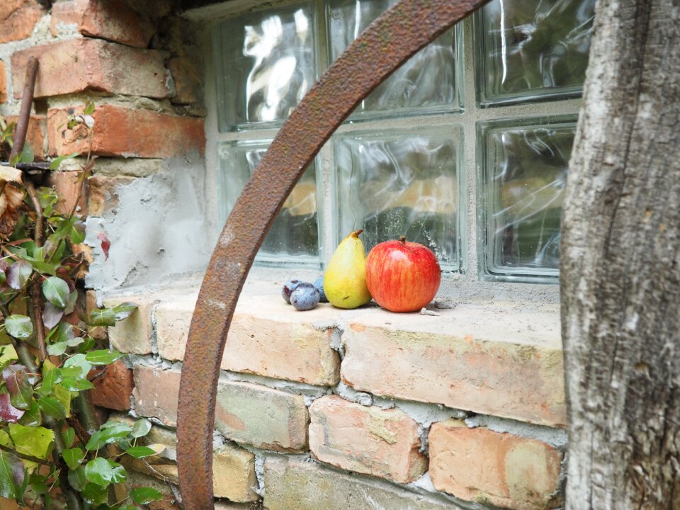 Fruit fruits still life