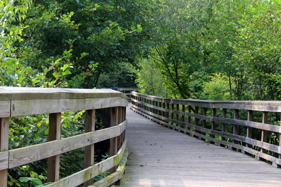 Bridge wooden park