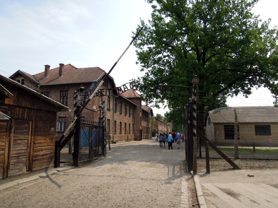 Tree port world war