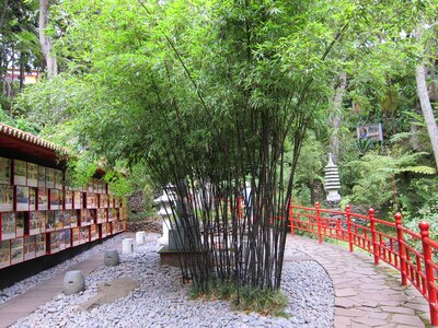 Japanese garden japanese zen