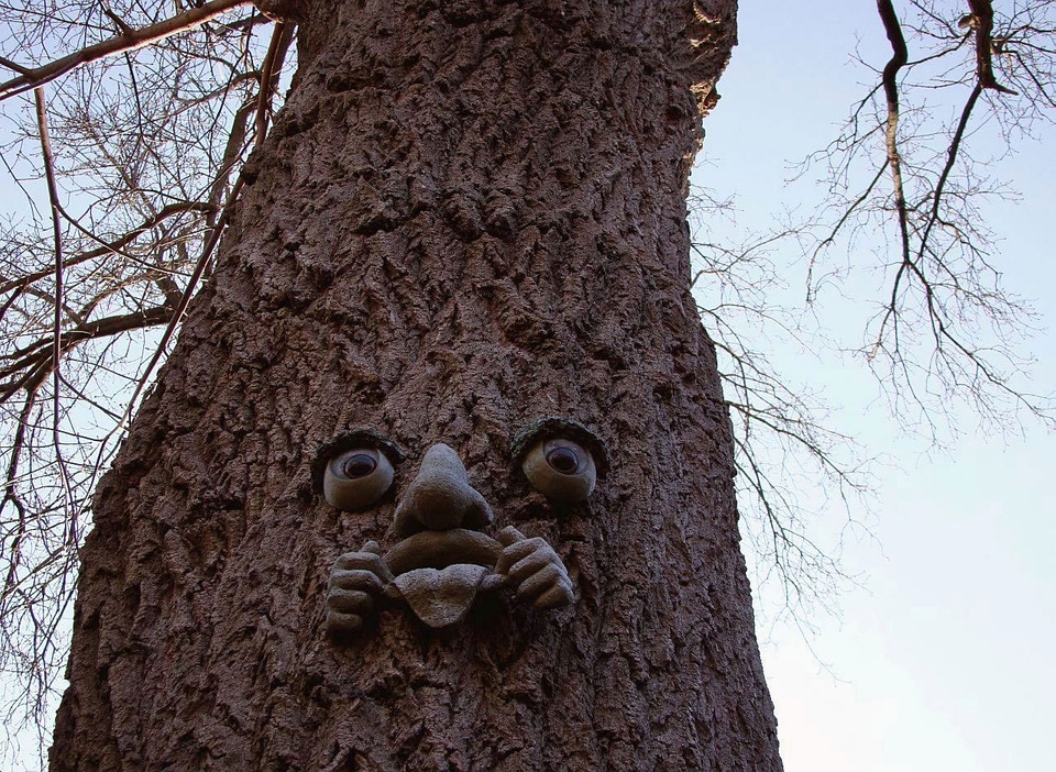 Ornament branch face