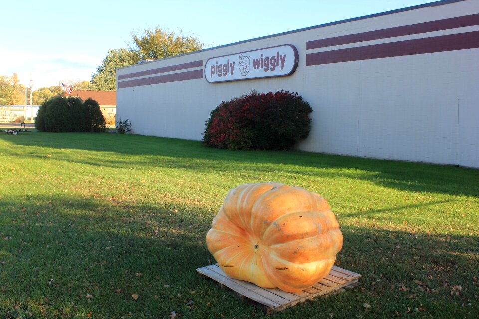 Fall harvest