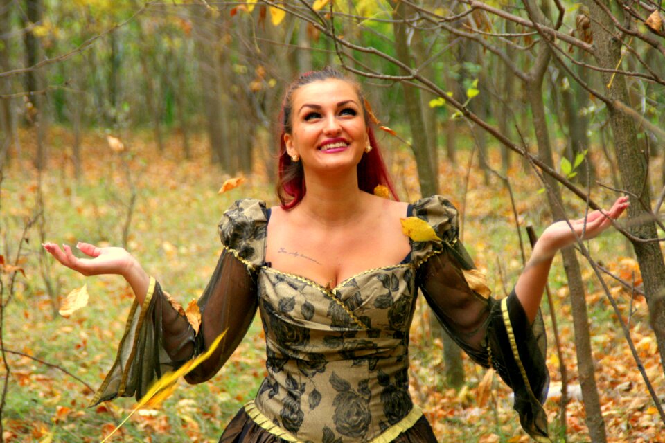 Leaves yellow forest