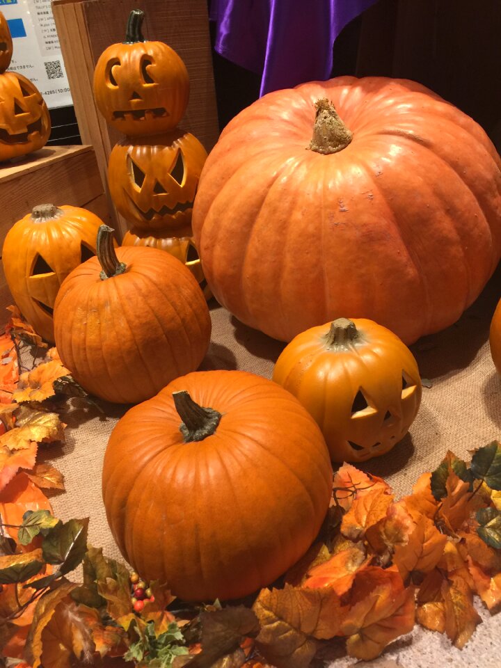 Halloween pumpkin orange