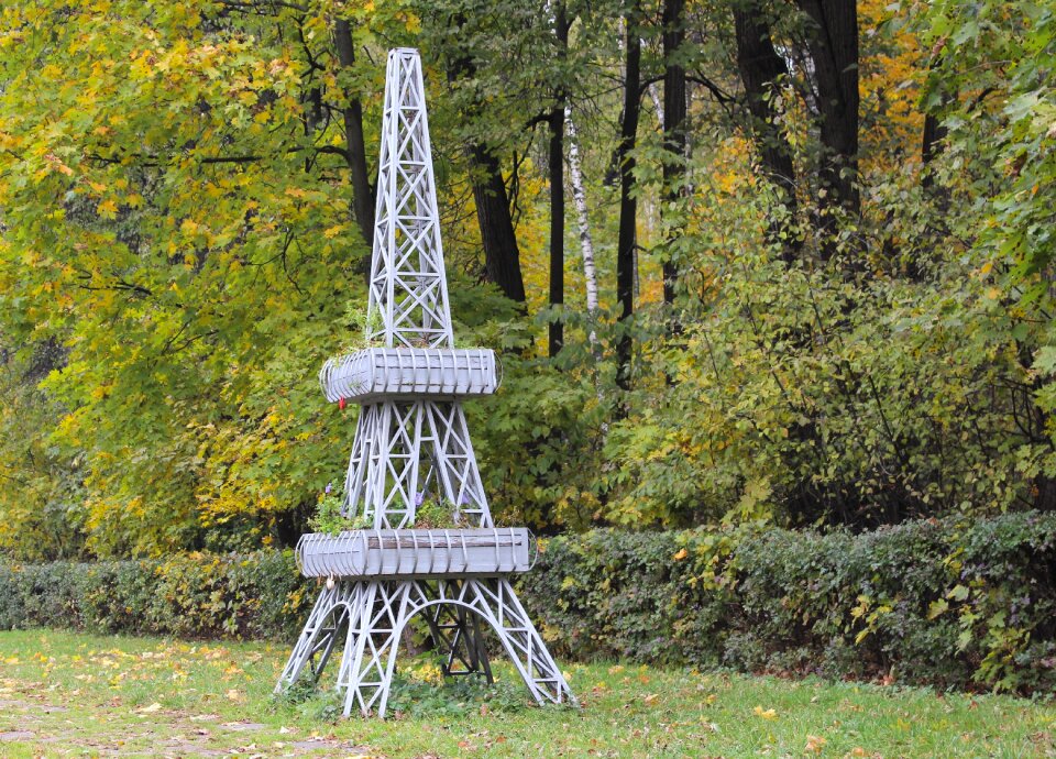 Forest monument autumn