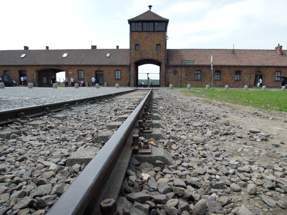 Jewish death world war