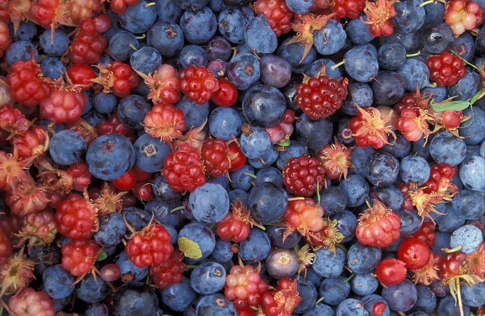Raspberries currants wild