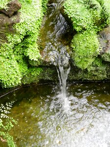 Liquid swim nature