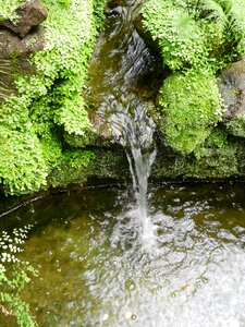 Liquid swim nature photo