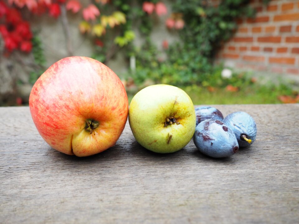 Fruit fruits still life