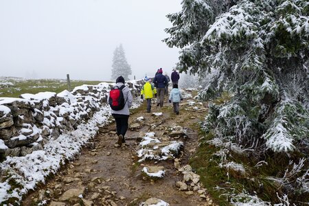 Swiss jura stone wall wall photo