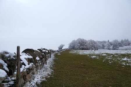 Switzerland jura park photo