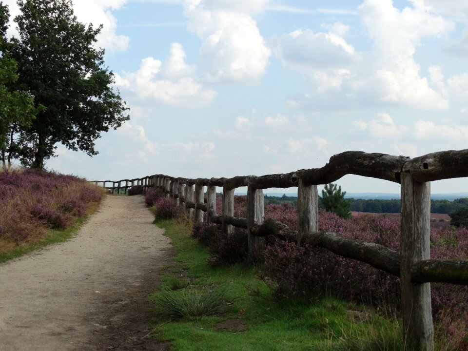 Fence landscape path