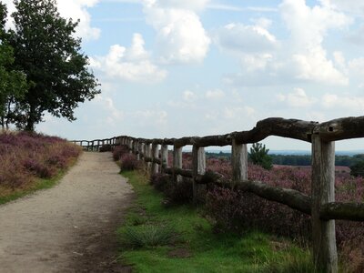 Fence landscape path