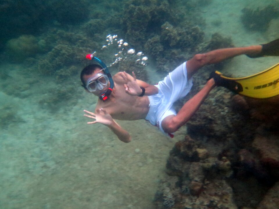 Diving underwater swimmer