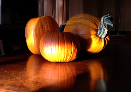 Season halloween